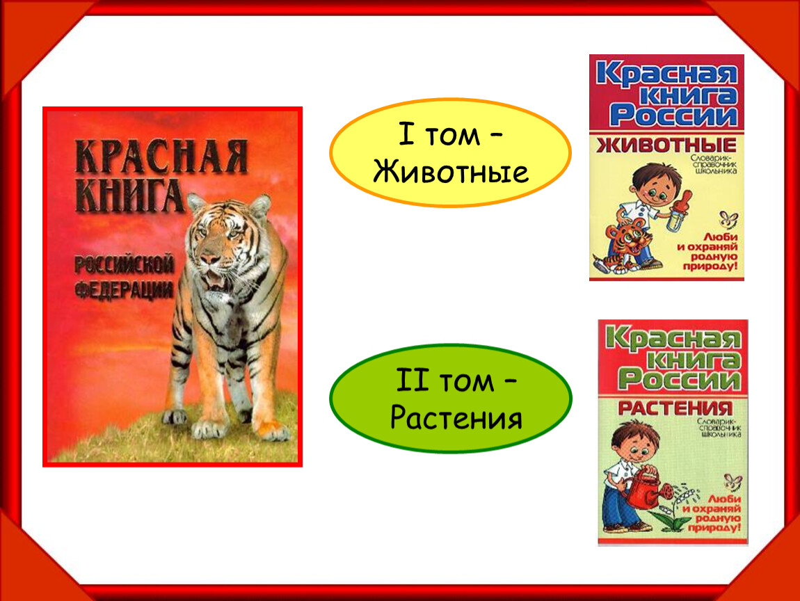 Презентация 2 класс окружающий мир красная книга. Красная книга 2 класс. Красная книга презентация. Красная книга России 2 класс. Красная книга презентация 2 класс.