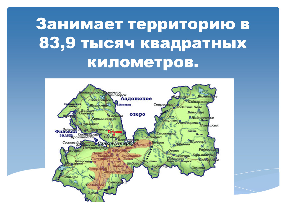 12 квадратных километров