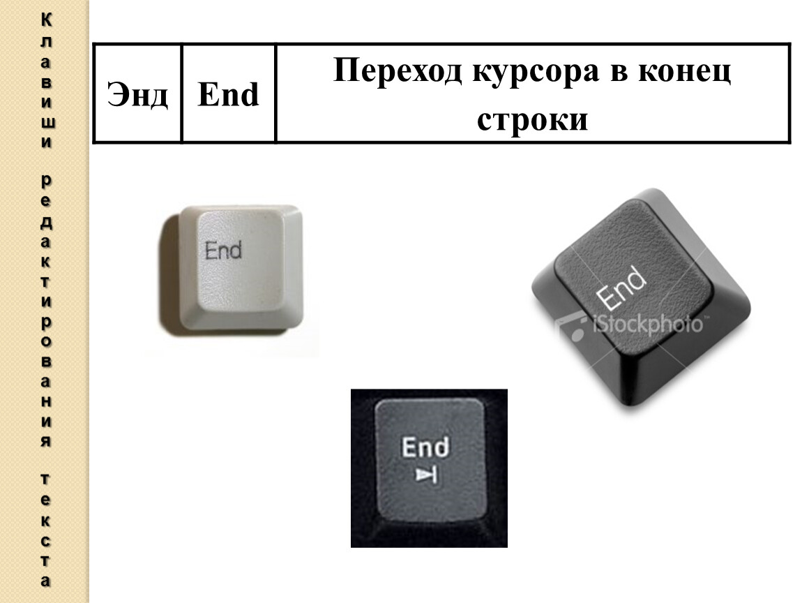 Клавиша перемещения в конец строки. Клавиша перехода в конец строки. Переход в конец строки на ноутбуке. В чём отличие end; и end. Информатика 7 класс.