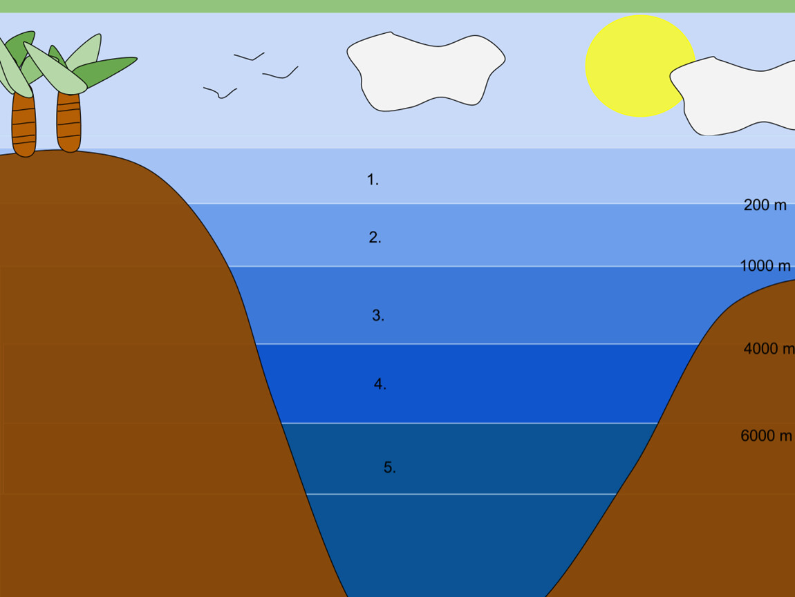 Плоская поверхность дна. Слои океана. Слои воды в море. Глубинные слои океана. Глубина океана в разрезе.