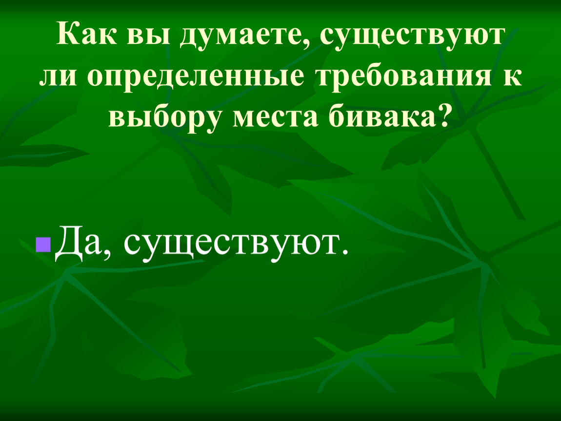 Обеспечение безопасности при выборе места для бивуака обж 8 класс презентация