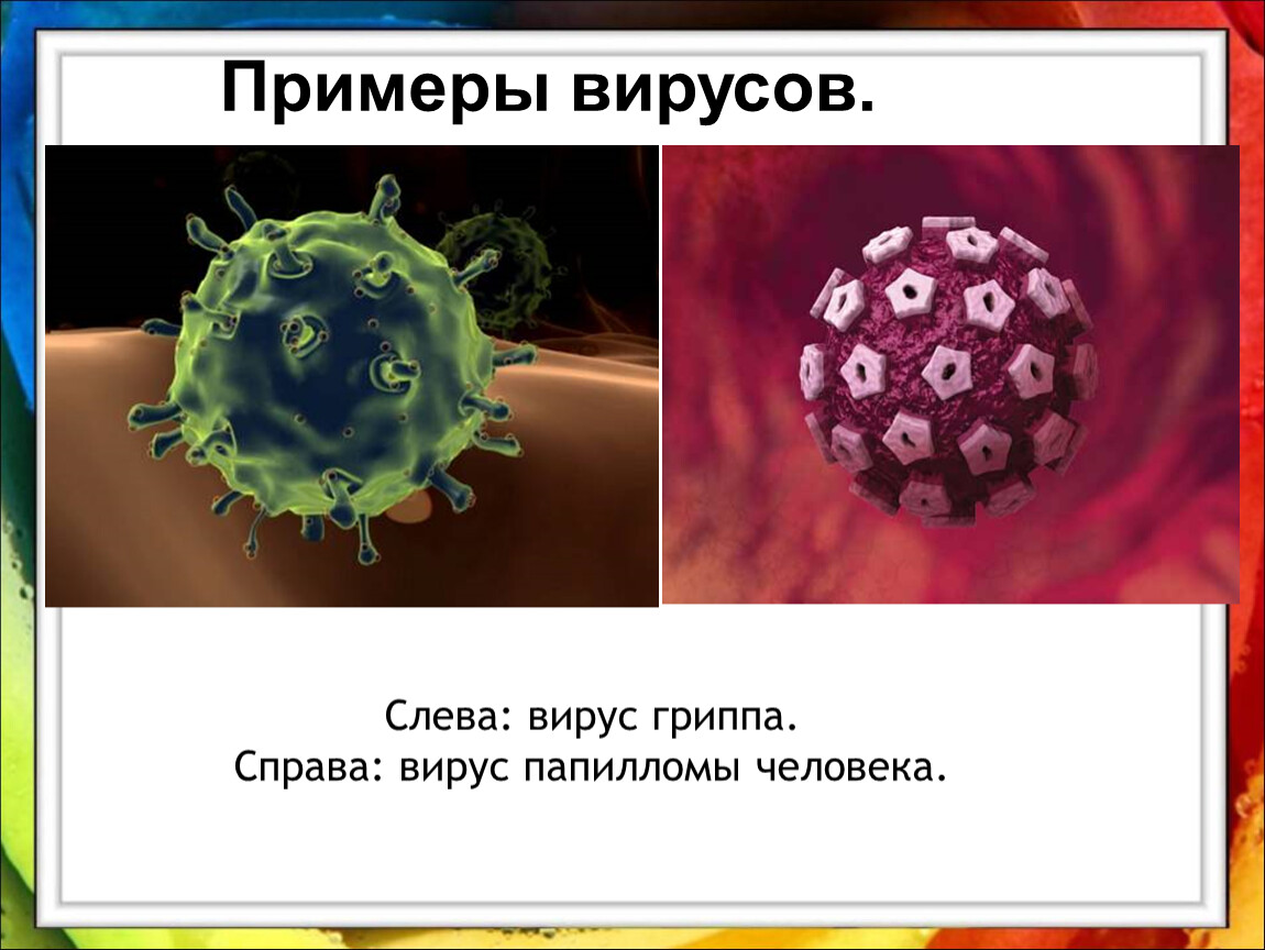 Названия вирусов человека