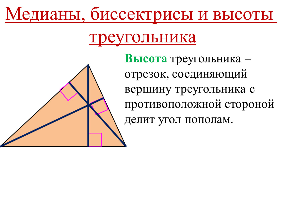 Любая биссектриса треугольника делит его пополам. Медиана биссектриса и высота треугольника. Треугольники Медианы биссектрисы и высоты треугольника. Медиана и биссектриса треугольника. Медиана и высота треугольника.
