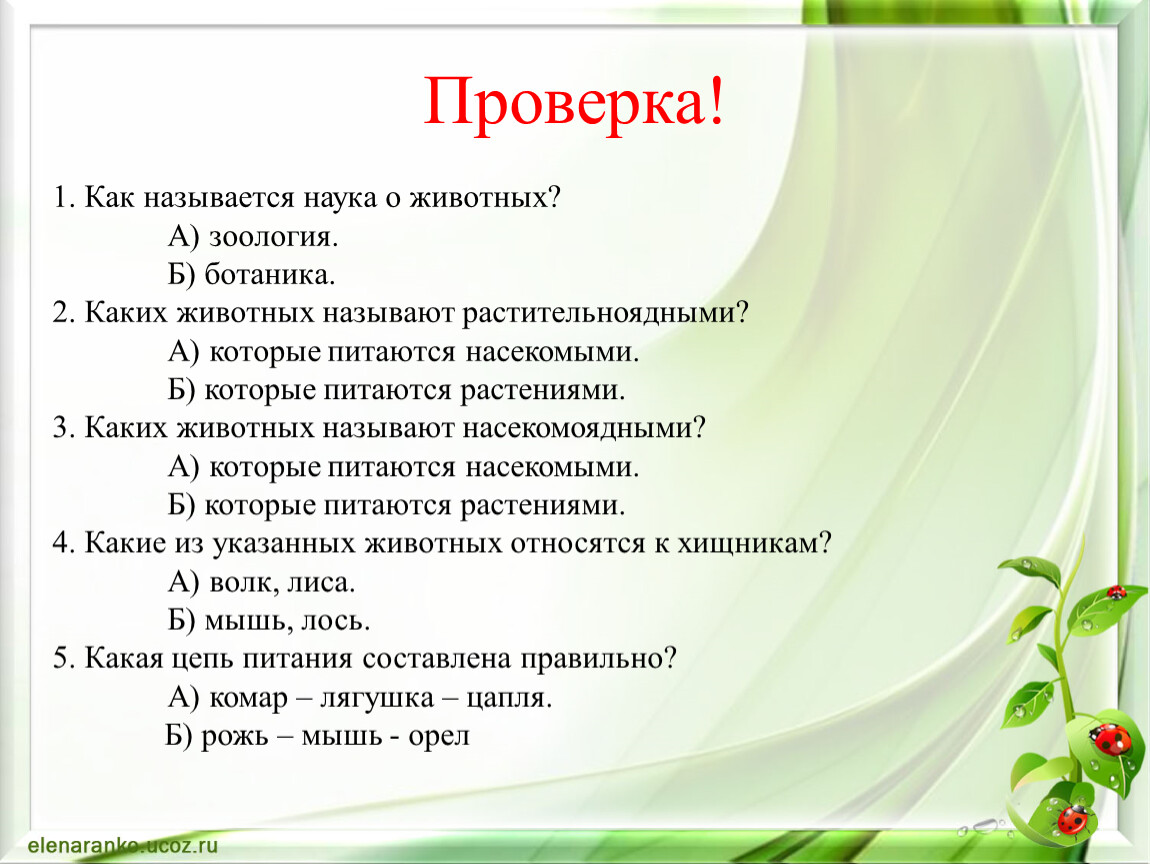 Как называется проверка. Как называется наука о животных. Называеться 