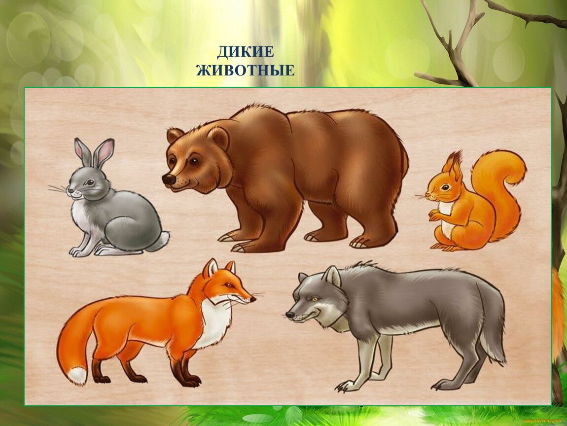 Животные медведь, еж, волк,лиса,заяц