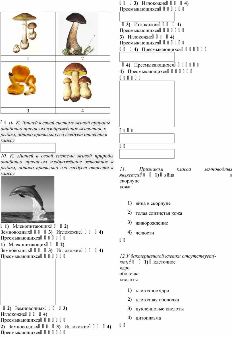 голая слизистая кожа