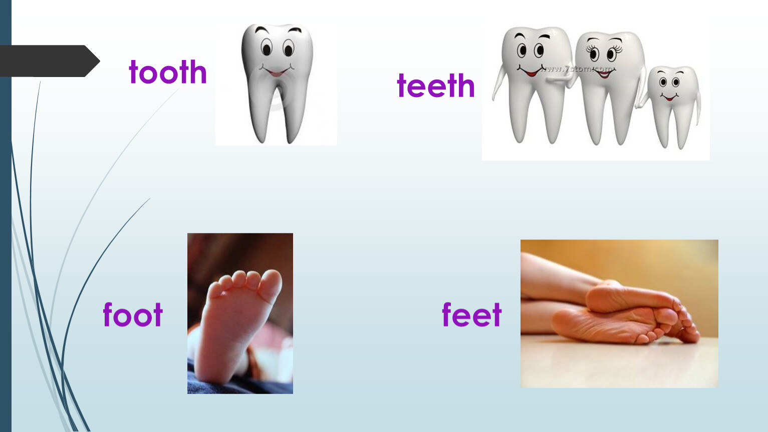 Foot tongue. Tooth Teeth foot feet правило. Tooth во множественном числе на английском. Зубы на английском языке. Множественное число в английском языке foot Teeth.