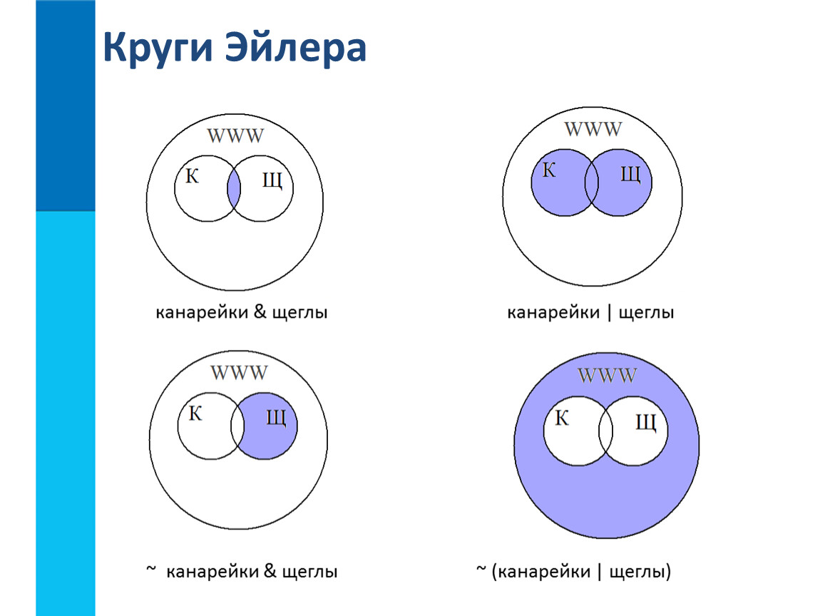 Круги Эйлера канарейки и щеглы. Логика Информатика круги Эйлера. Всемирная паутина круги Эйлера. Алгебра логики Информатика круги Эйлера.