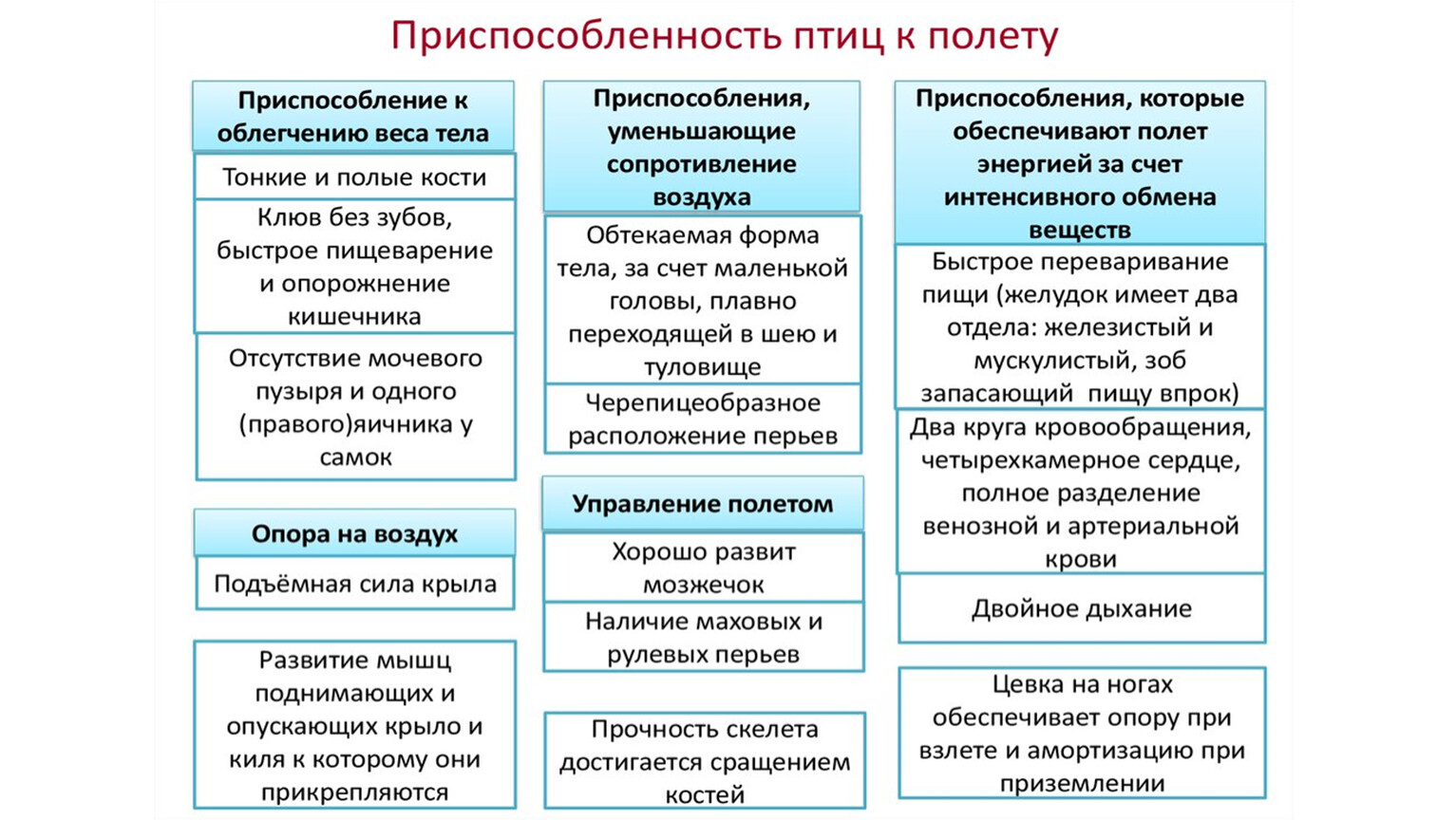 Приспособления скелета птиц к полету