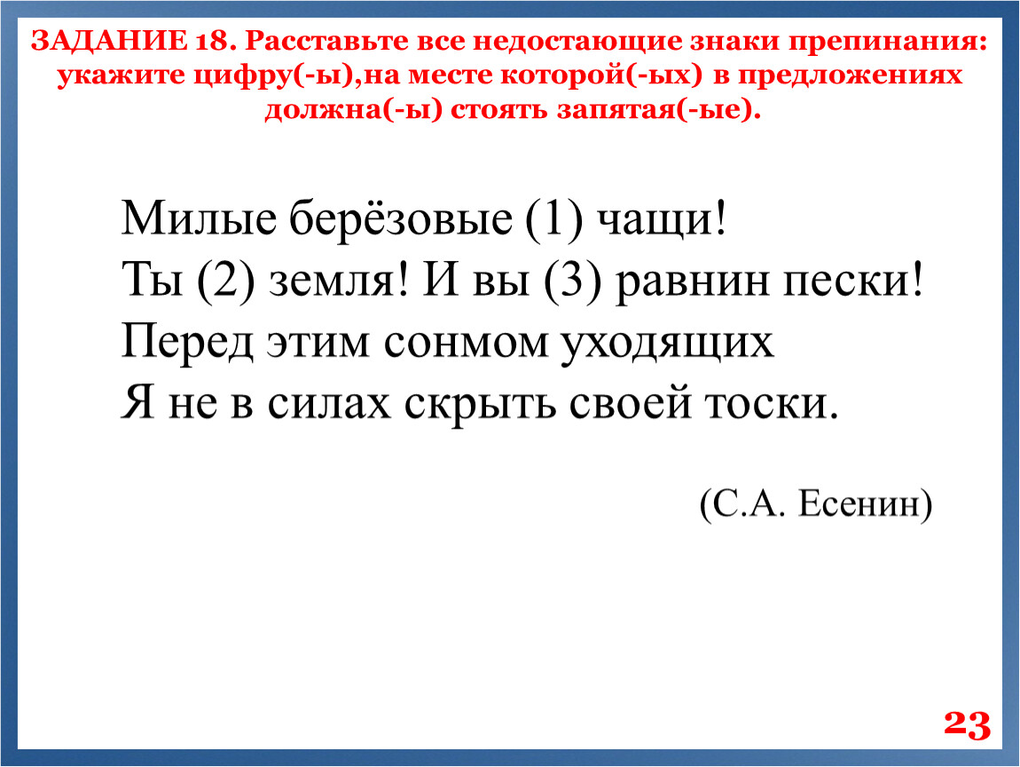 Подготовка к ЕГЭ по русскому языку в 11 классе (задания 1 - 21)