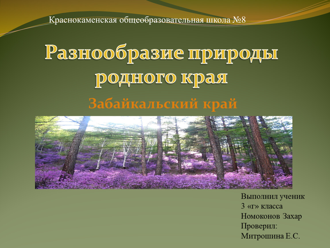 Природа разнообразие природы. Многообразие природы. Разнообразие природы Забайкальского края. Проект разнообразие природы Забайкальского края. Природа Забайкальского края презентация.