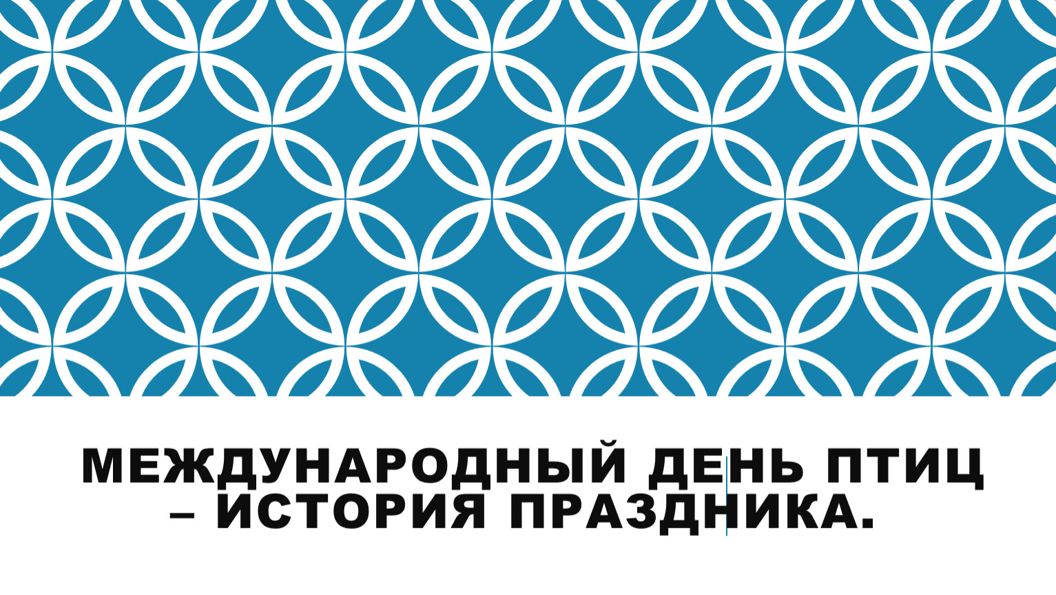 международный день птиц – история праздника.