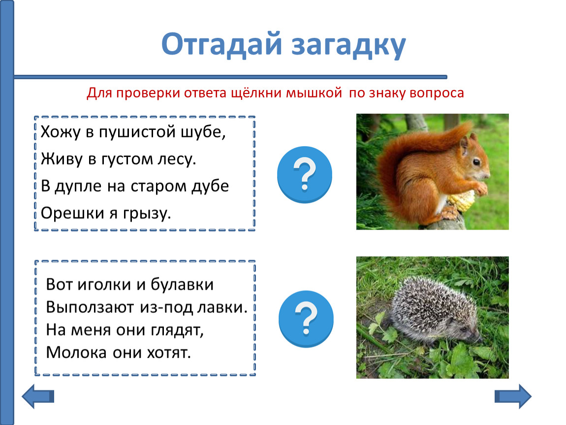 Загадка хожу. Отгадать загадку шел заяц к реке. Блестела его пушистая шубка ответы карточка. Загадка ходят ходят 2 дружка.