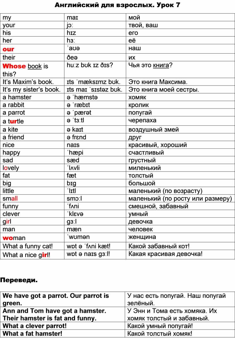 Theirs в английском языке. Впиши our или their. Правила our или their.