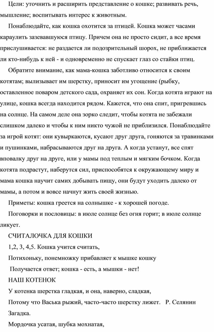 Картотека прогулок «Лето» в средней группе