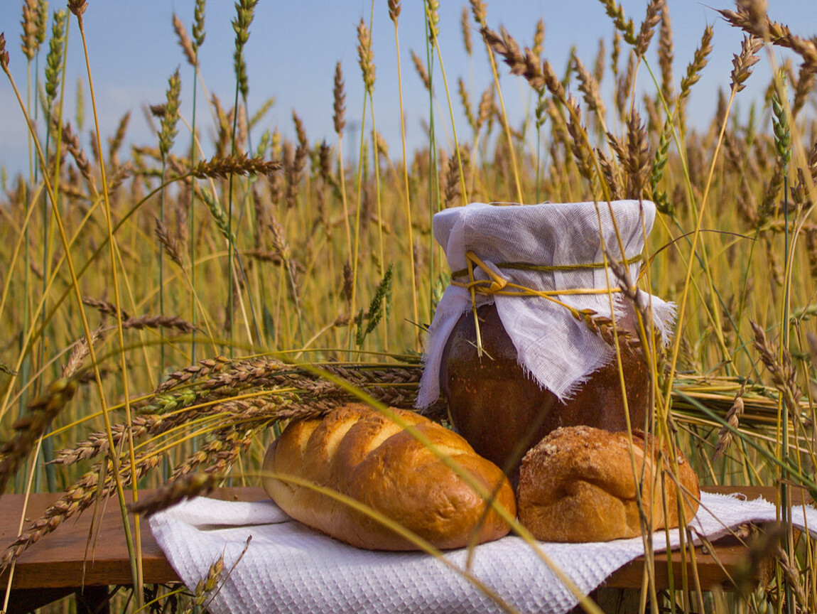 В 2012 году на основных хлебородных. Хлеб пшеница. Хлеб всему голова. Хлеб в поле. Колосья хлеба.