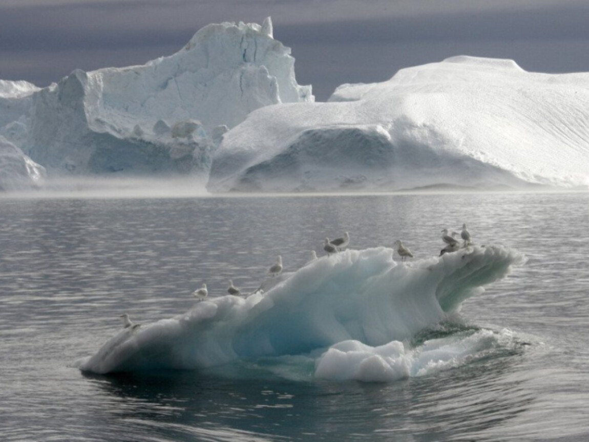 Таяние ледников глобальное потепление