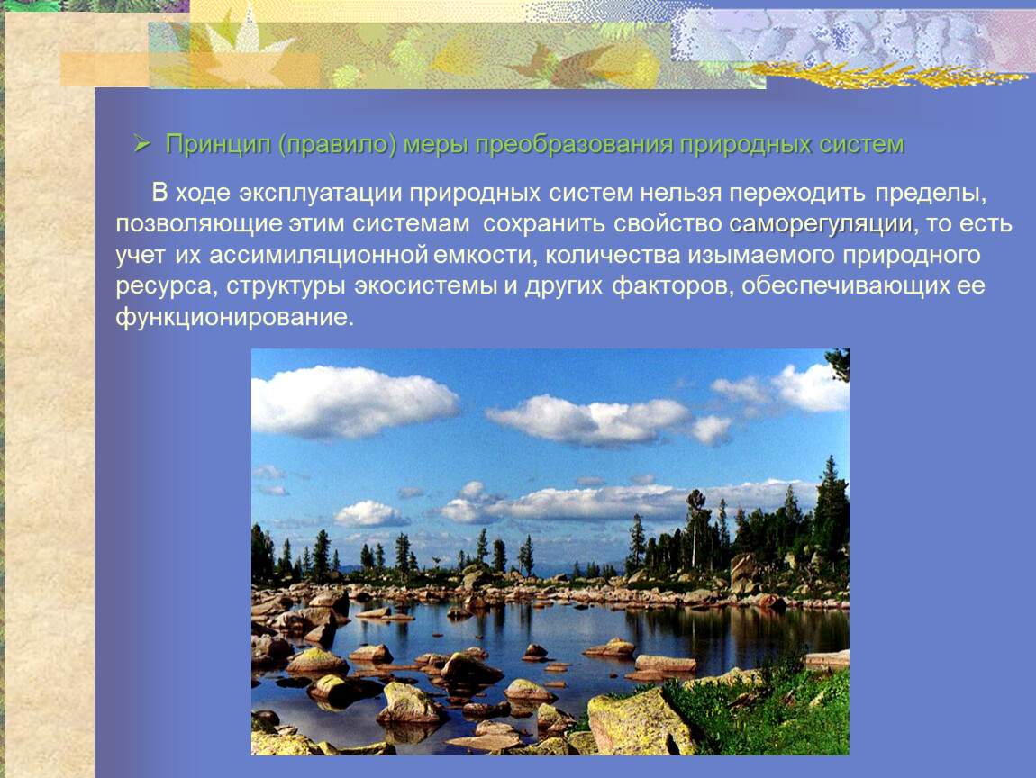 1 природную систему. Принцип (правило) меры преобразования природных систем. Принцип меры преобразования природных систем. Меры преобразования природных систем пример. Принцип меры преобразования природных систем примеры.