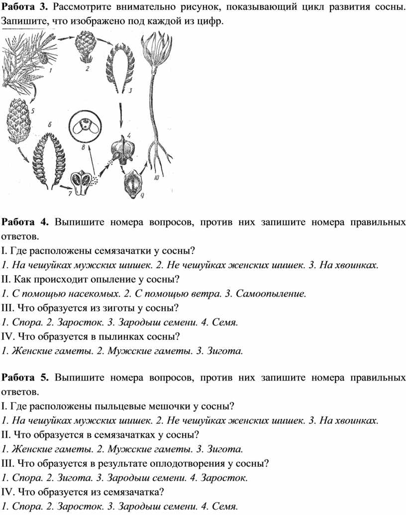 Рассмотрите внимательно рисунок 34 объясните что произошло с семенами гороха в каждом из 3 сосудов