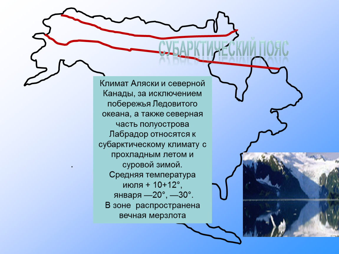 Презентация субарктический пояс