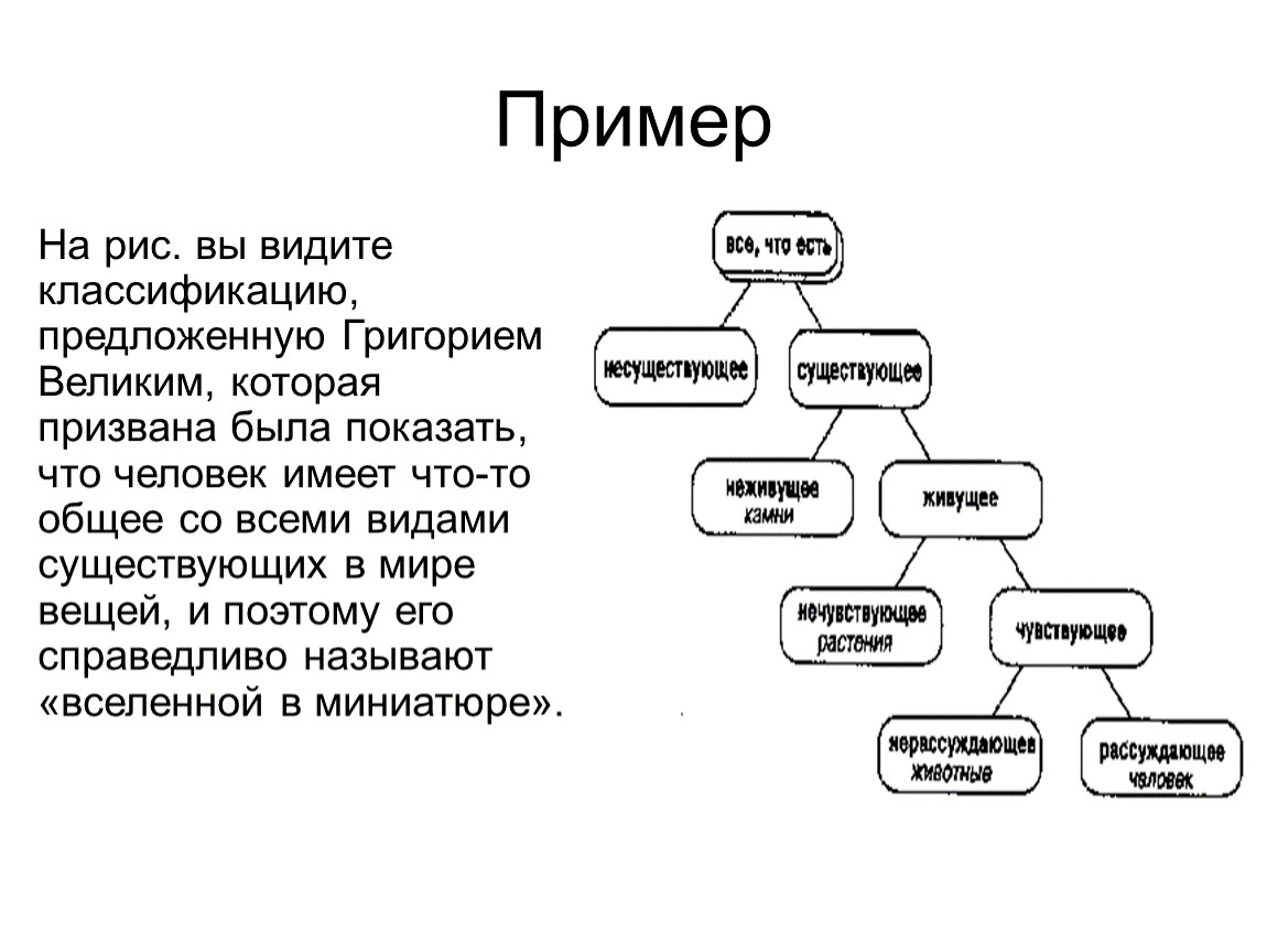 Графы 9 класс