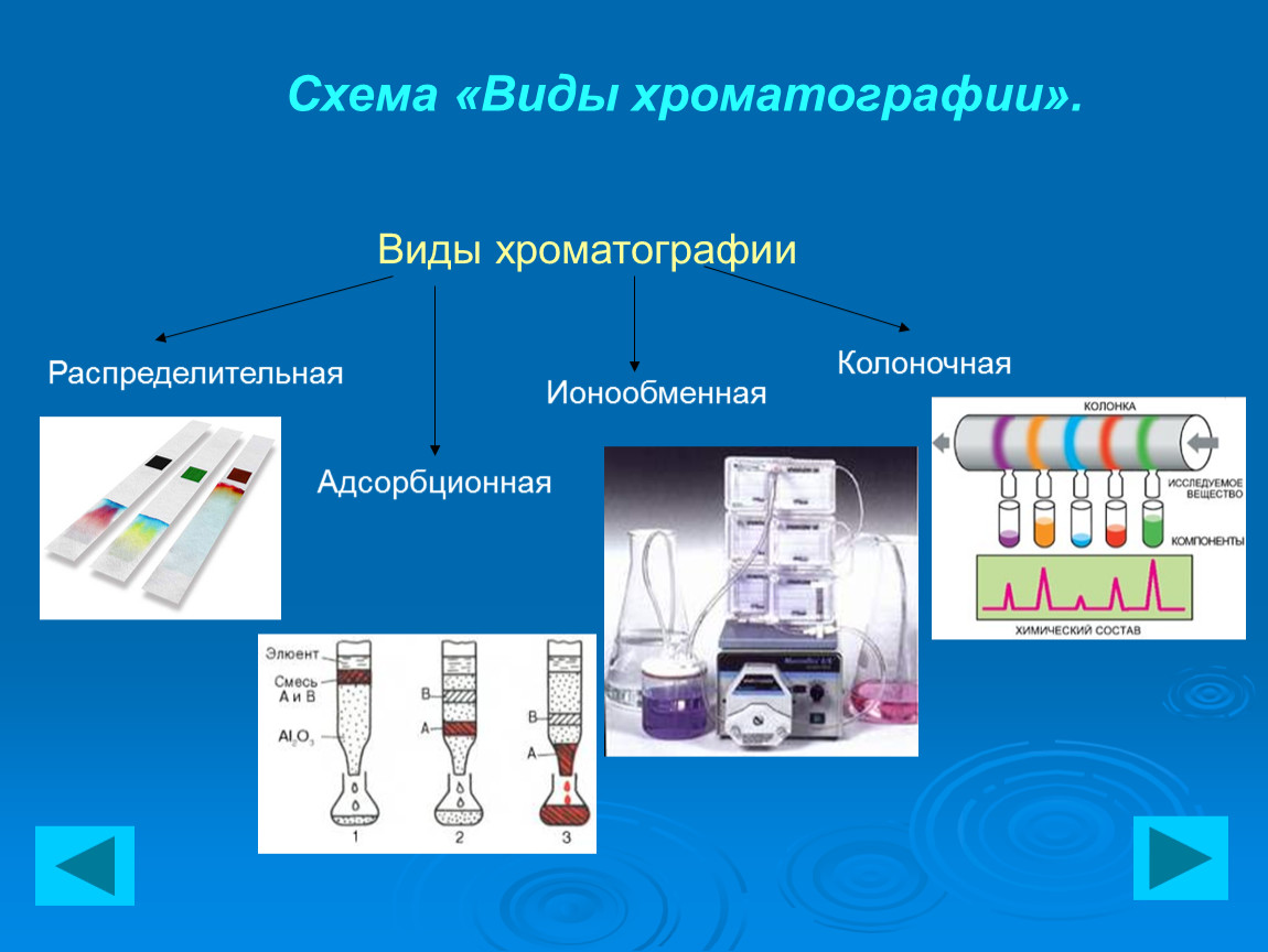 Хроматография химия презентация