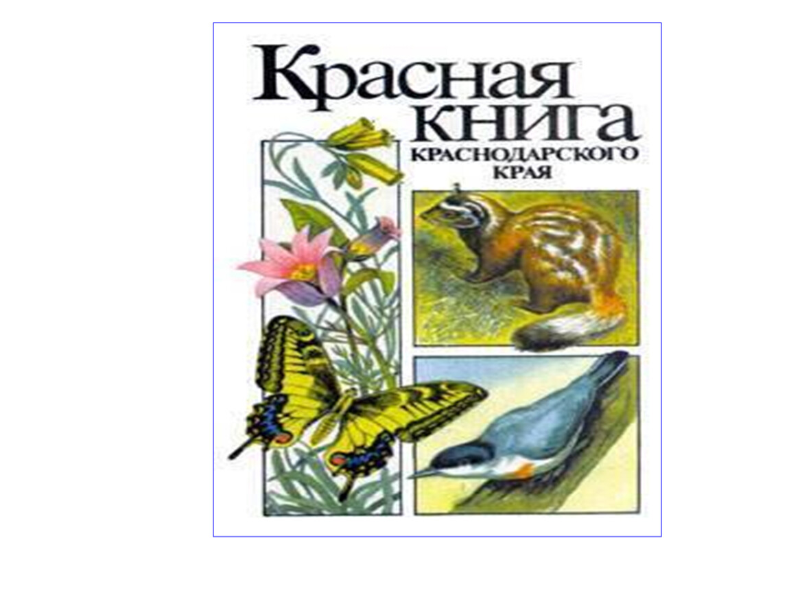 Животные красной книги краснодарского края рисунки