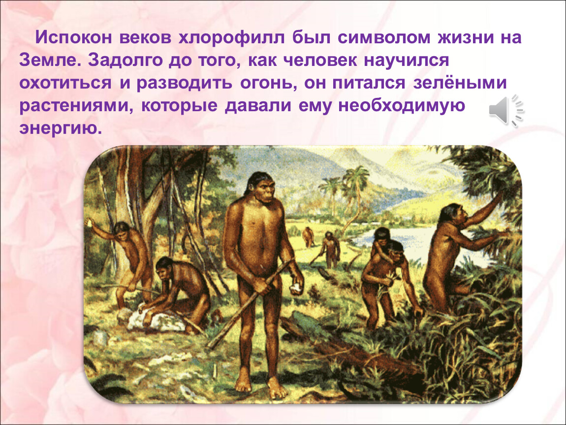 Древнейший человек появился на территории. Появленниелюдей на земле. Появление человека на земле. Жизнь о первобытных людей на земле. Как люди заселяли землю.