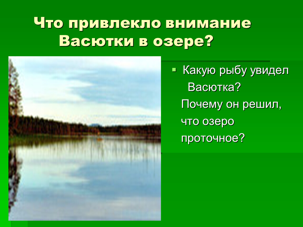 Какая рыба водилась в озере васюткино. Васюткино озеро. Васюткино озеро презентация. Васюткино озеро презентация к уроку.