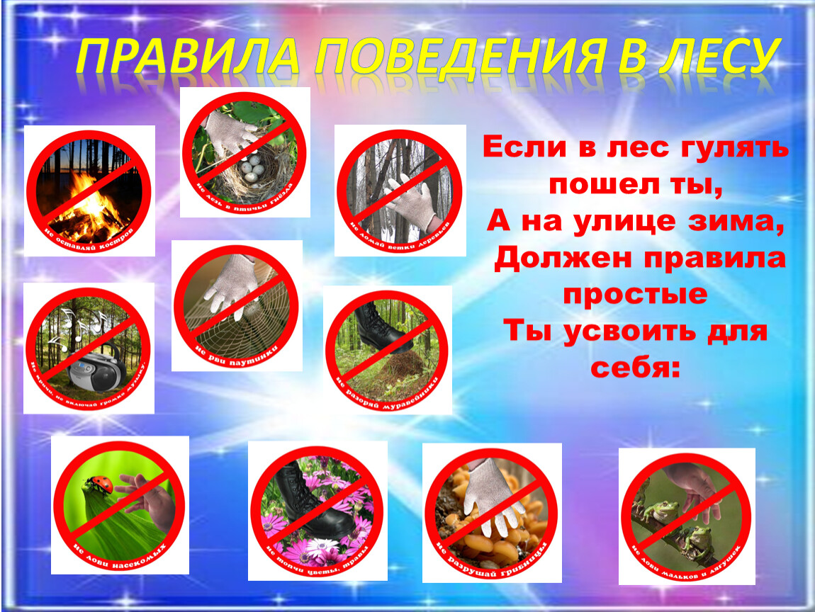 Правила поведения в лесу Если в лес гулять пошел ты,