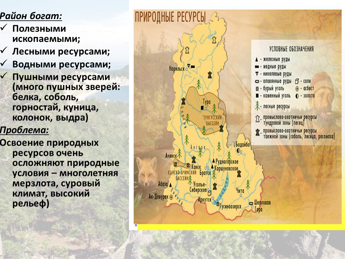 Население восточной сибири 9 класс география. Сибирь презентация 9 класс. Сибирь население и хозяйство.