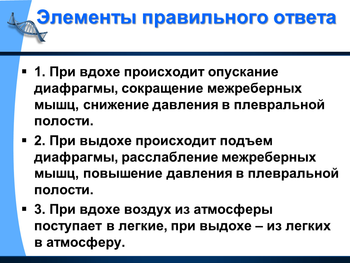 Что происходит при вдохе. Что происходит с диафрагмой при вдохе. Чио происходит при в Дохе. При вдохе происходит ответ.