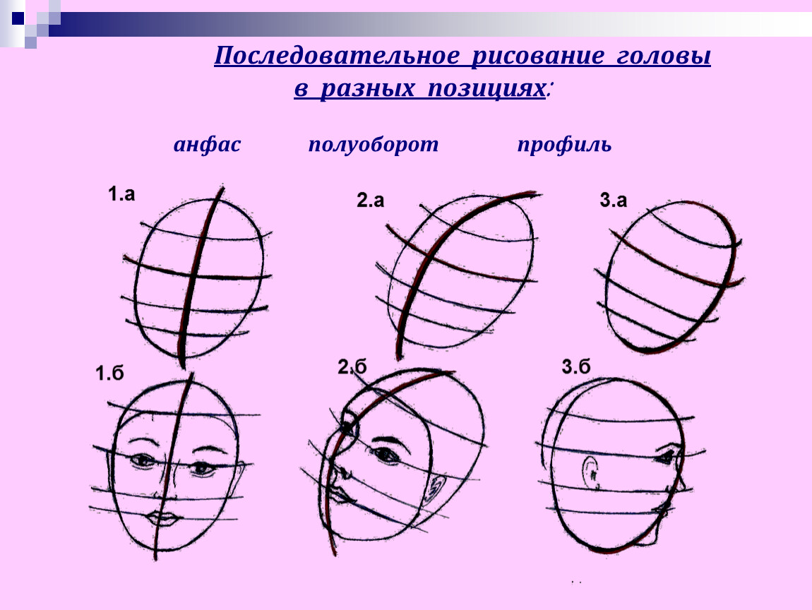 Число полуоборотов результат разрезания свойства рисунок