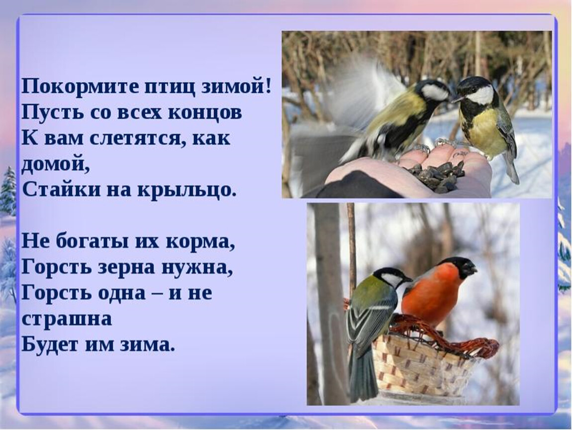 Стихотворение покормите зимой. Покормите птиц зимой. Покормите птиц хз имой. Накорми зимующих птиц. Стихи про птичек зимой.