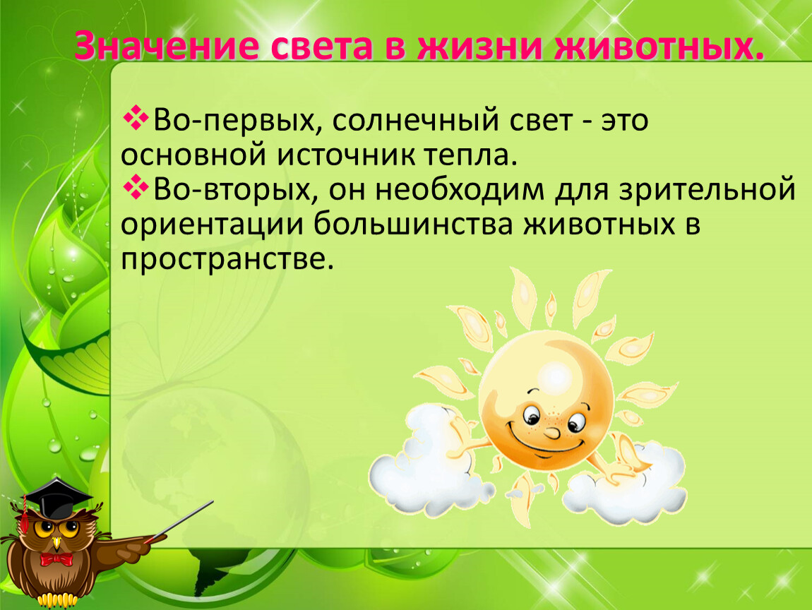 Освещение значение. Значение света в жизни животных. Значение света в нашей жизни. Значение света для человека. Значение света в жизни животных презентация.