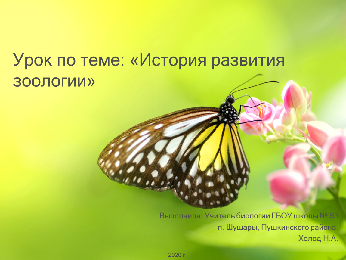 Урок по теме: «История развития зоологии»