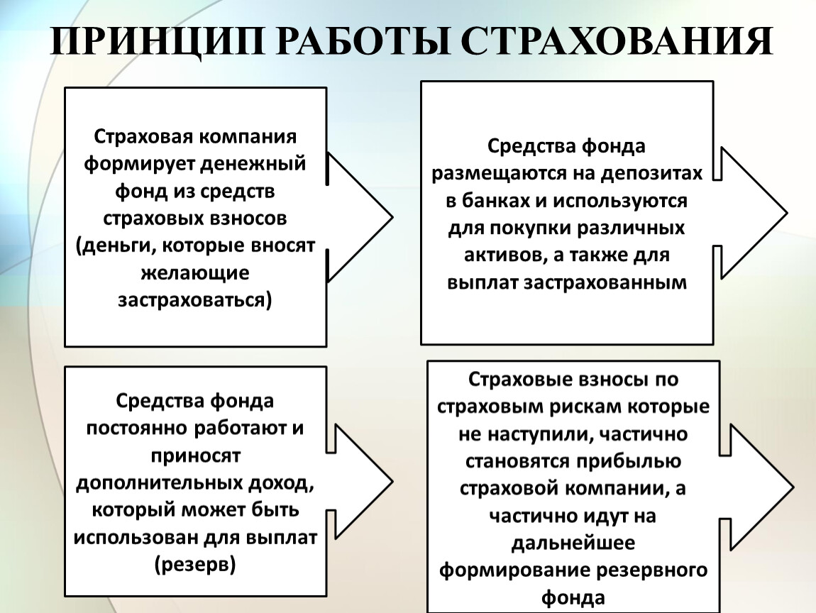 Презентация 