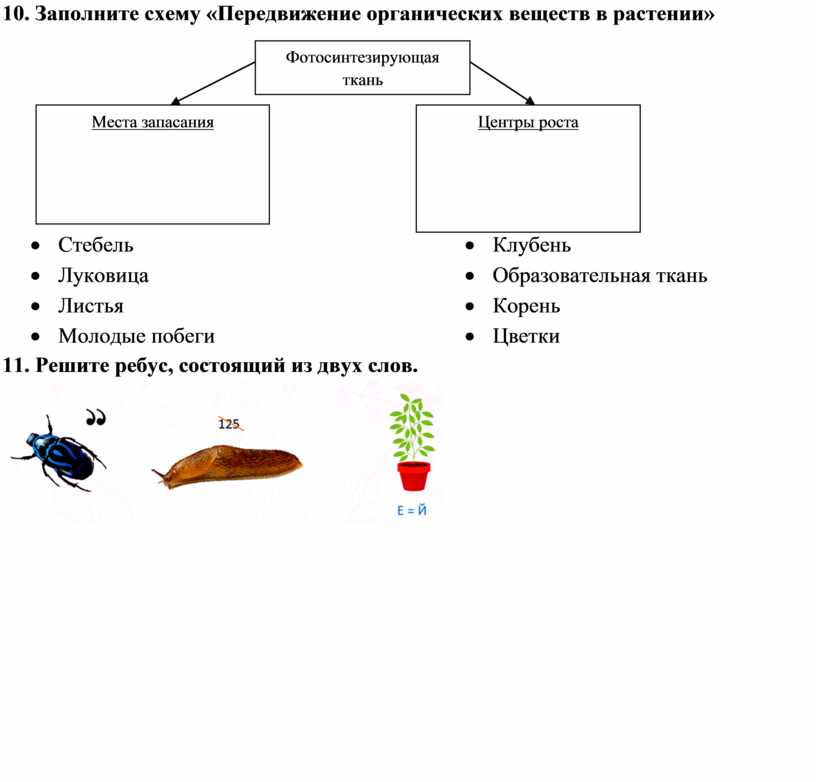 Заполните схему сказки