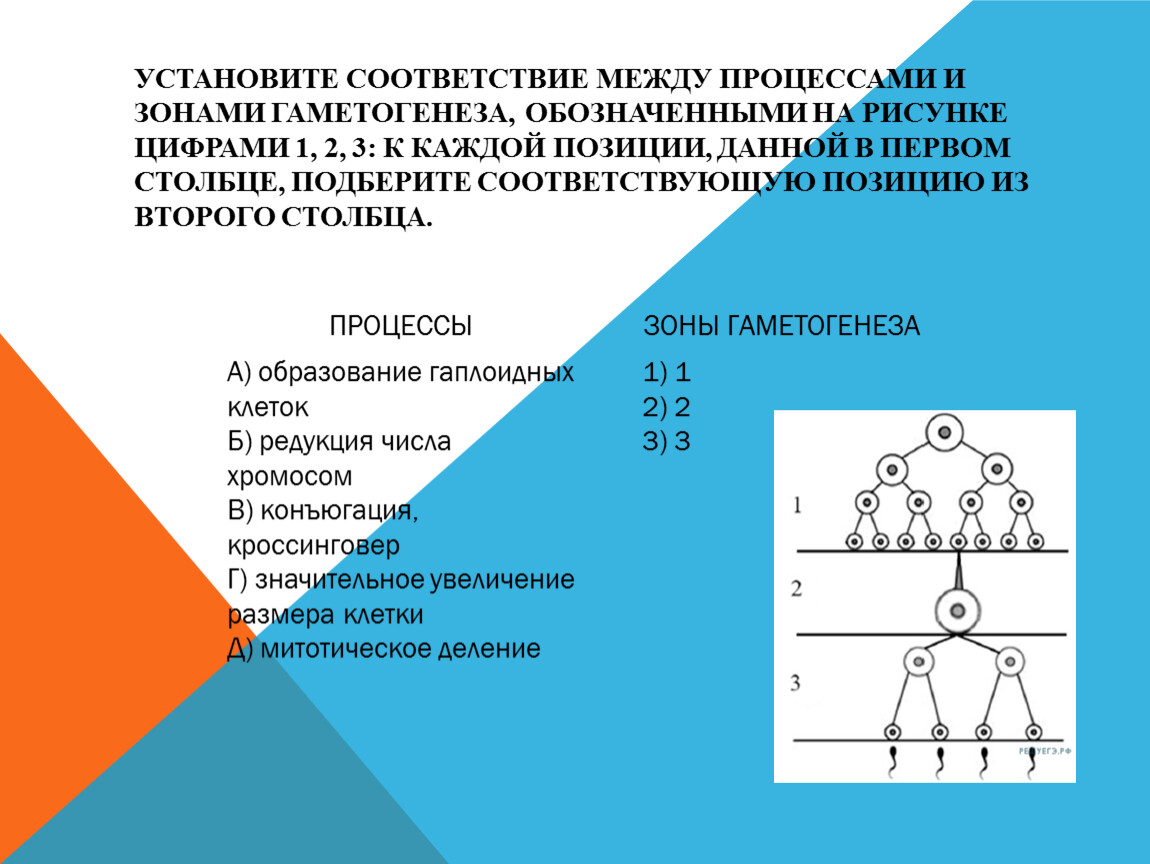 Установи соответствие между природными явлениями