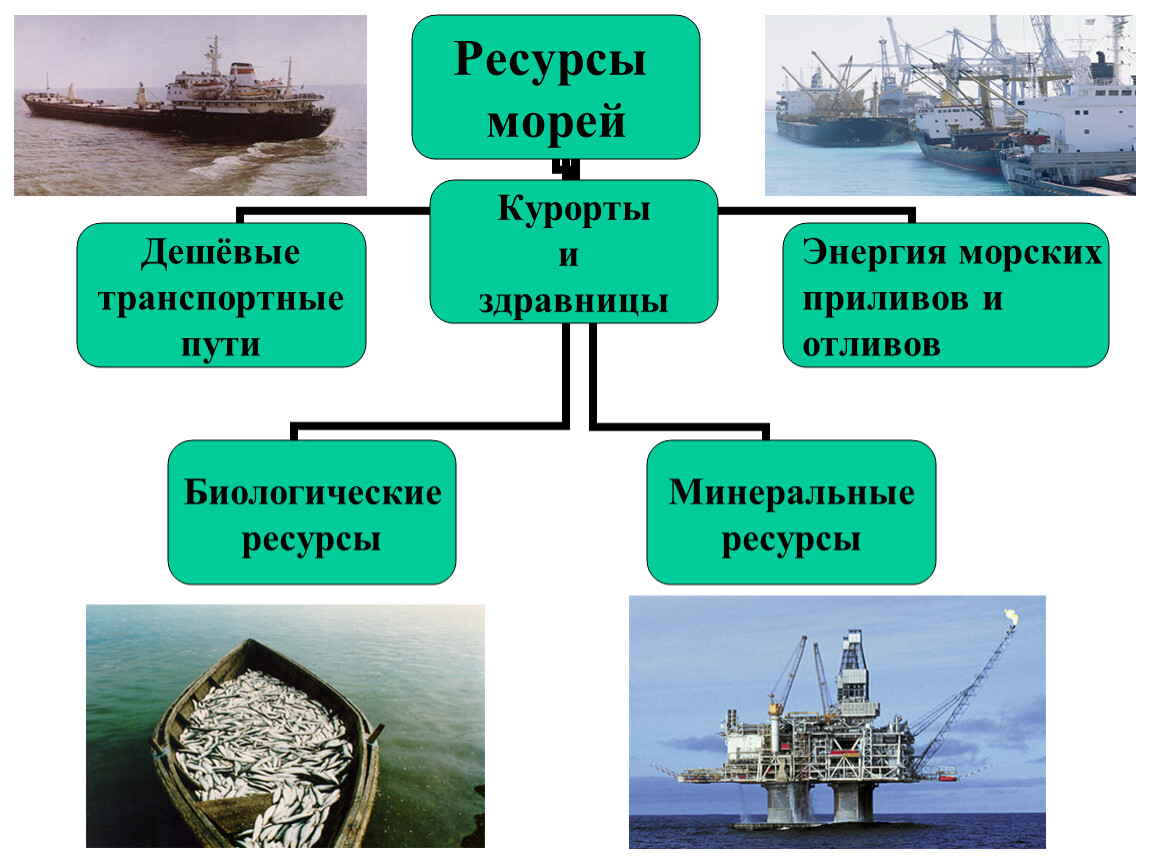 Ресурсы морей. Ресурсы морей России 8 класс география. Транспортные ресурсы морей. Схема ресурсы морей. Транспортные ресурсы морей России.