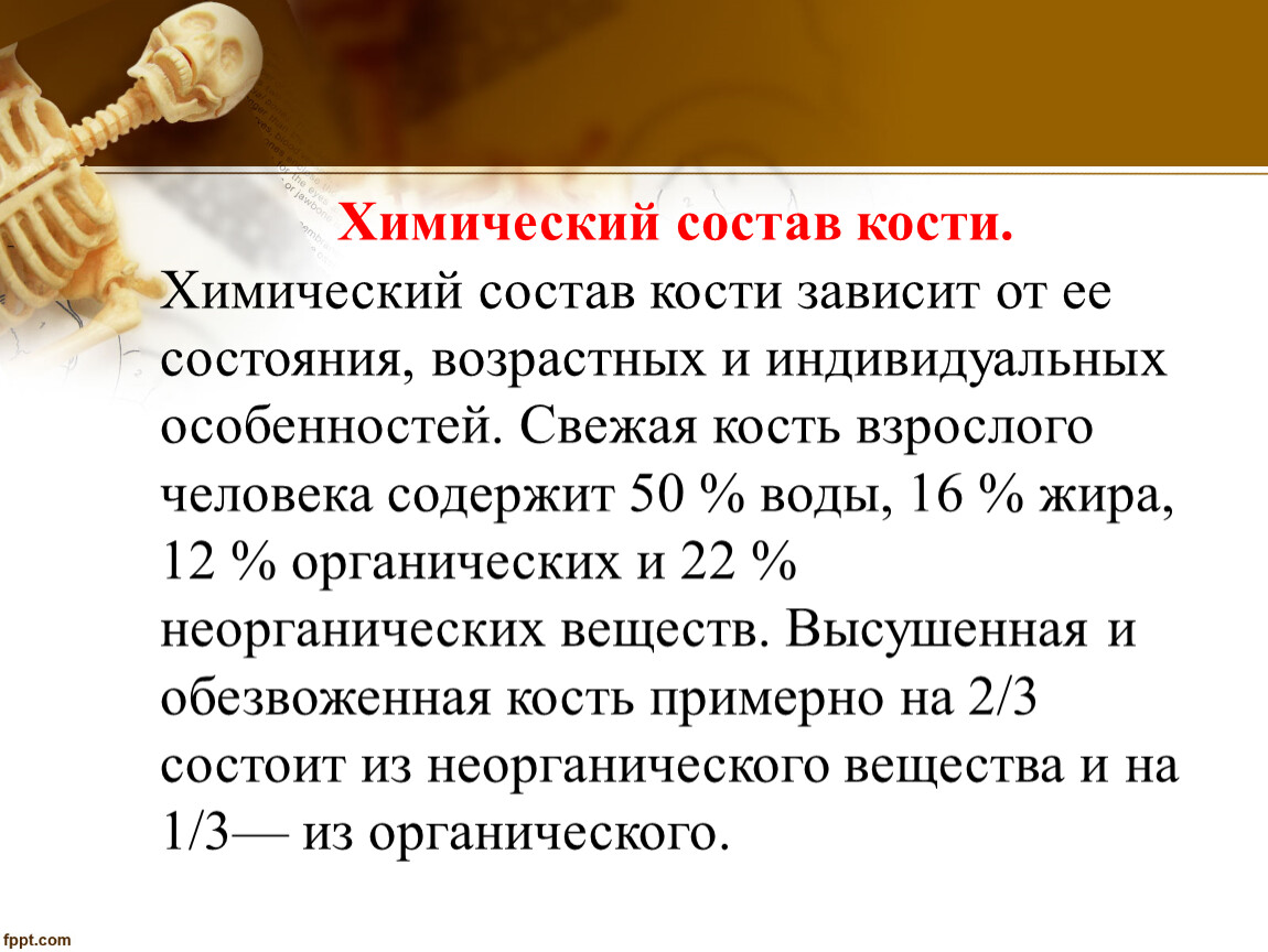 Состав костей человека. Химический состав кости. Химический состав кости человека. Возрастные изменения химического состава кости. Особенности химического состава костей.