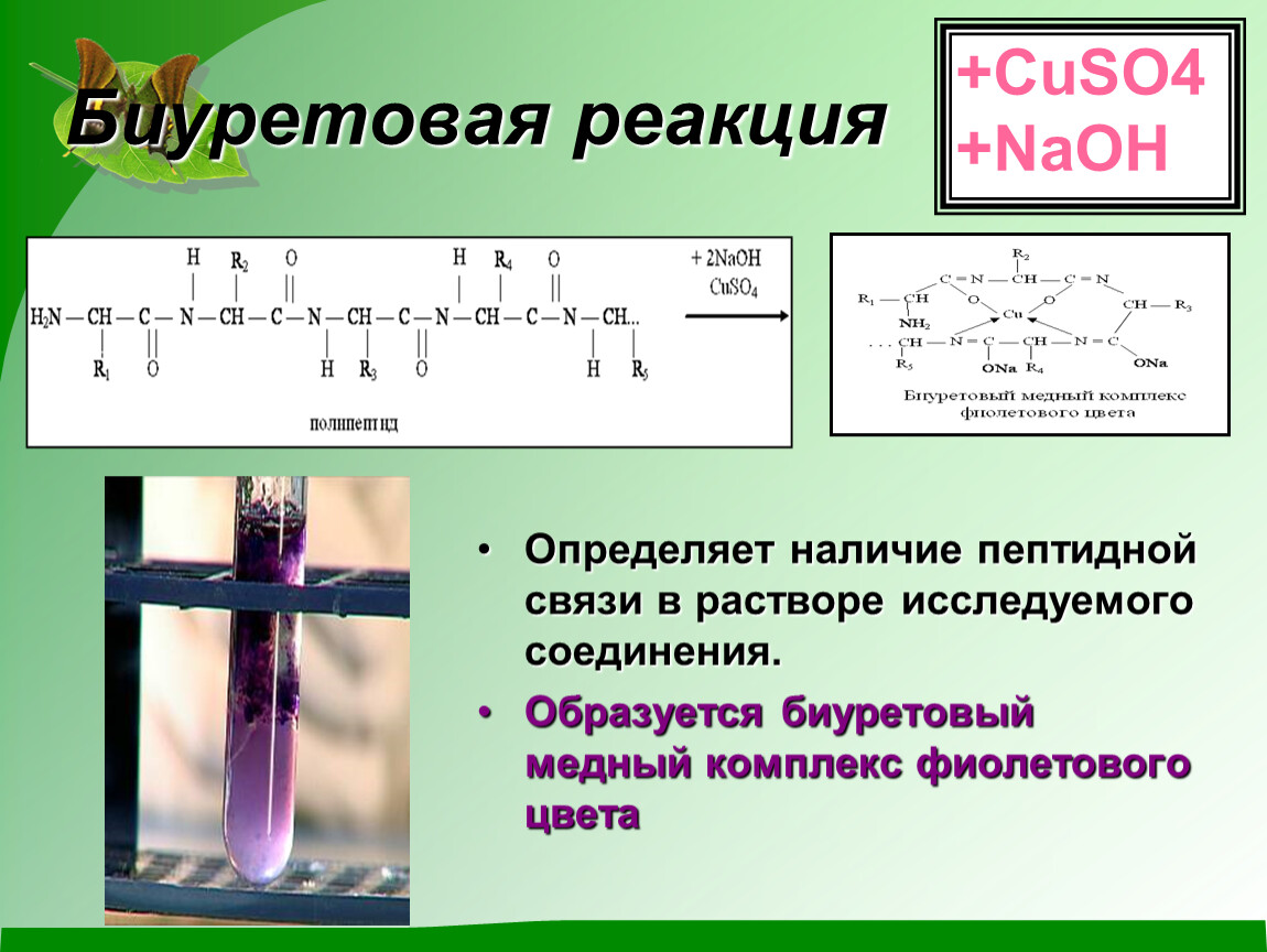 Cuso4 naoh признак реакции. Биуретовая реакция с глицином. Биуретовая реакция белок реакция. Биуретовая реакция белков реакция. Биуретовая реакция формула реакции.