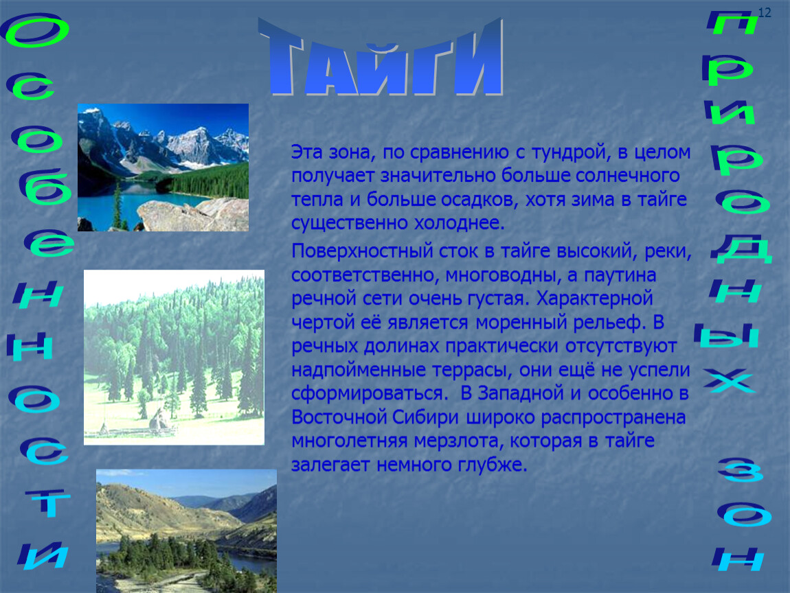 Природные зоны доклад 6 класс. Тайга природная зона. Природные зоны России Тайга климат. Презентация на тему природные зоны. Описание тайги.