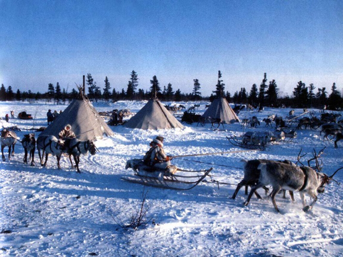 Чем занимаются коренные жители крайнего севера