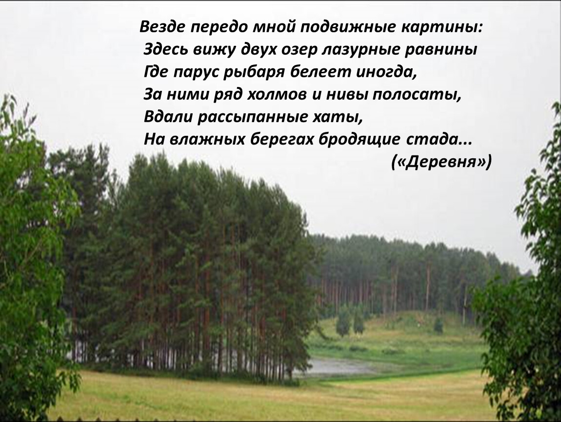 Передо мной картина. Стих везде передо мной подвижные картины. Стих деревня Пушкин везде пердомной подвижные картины.