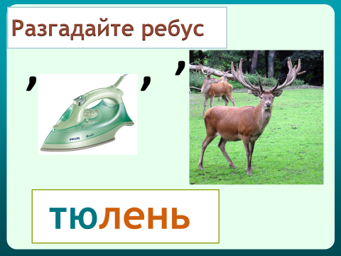 Презентация 