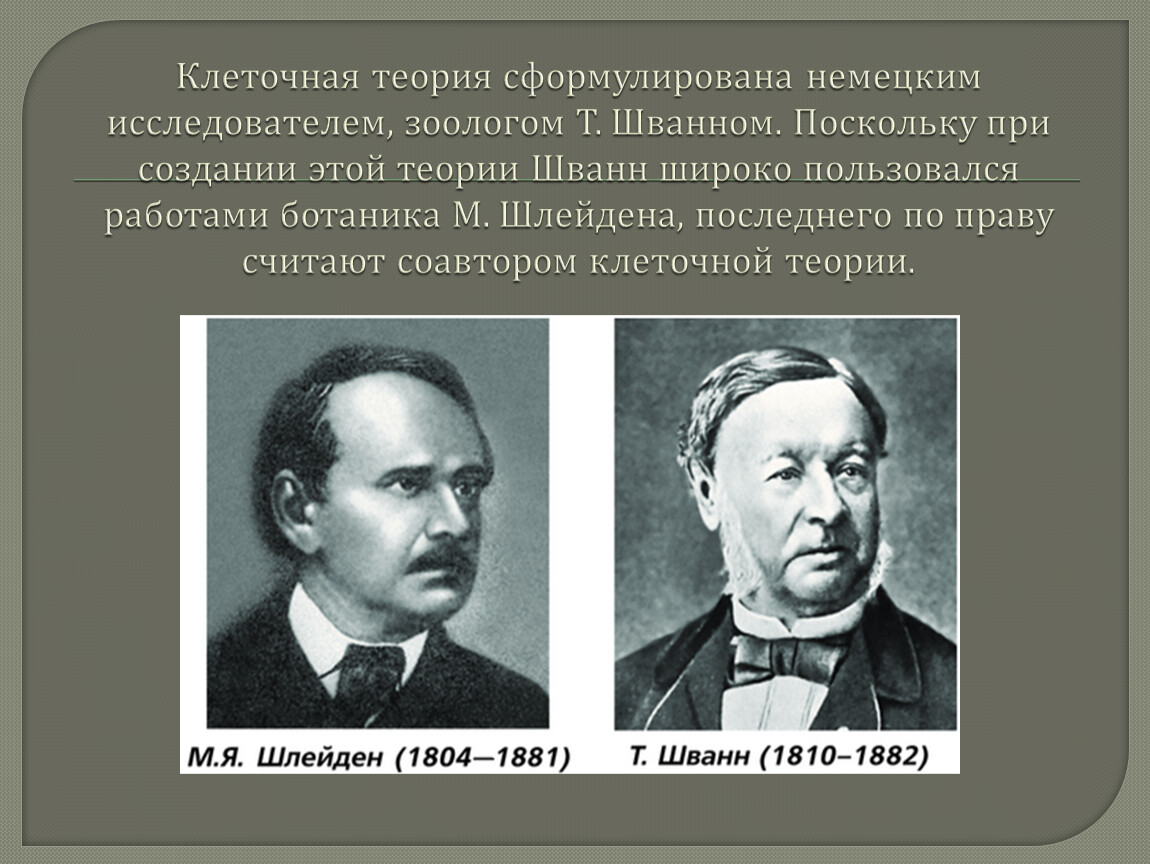 История клеточной теории. Клеточная теория. Клеточную теорию сформулировали. Первая клеточная теория. Клеточная теория была сформулирована.