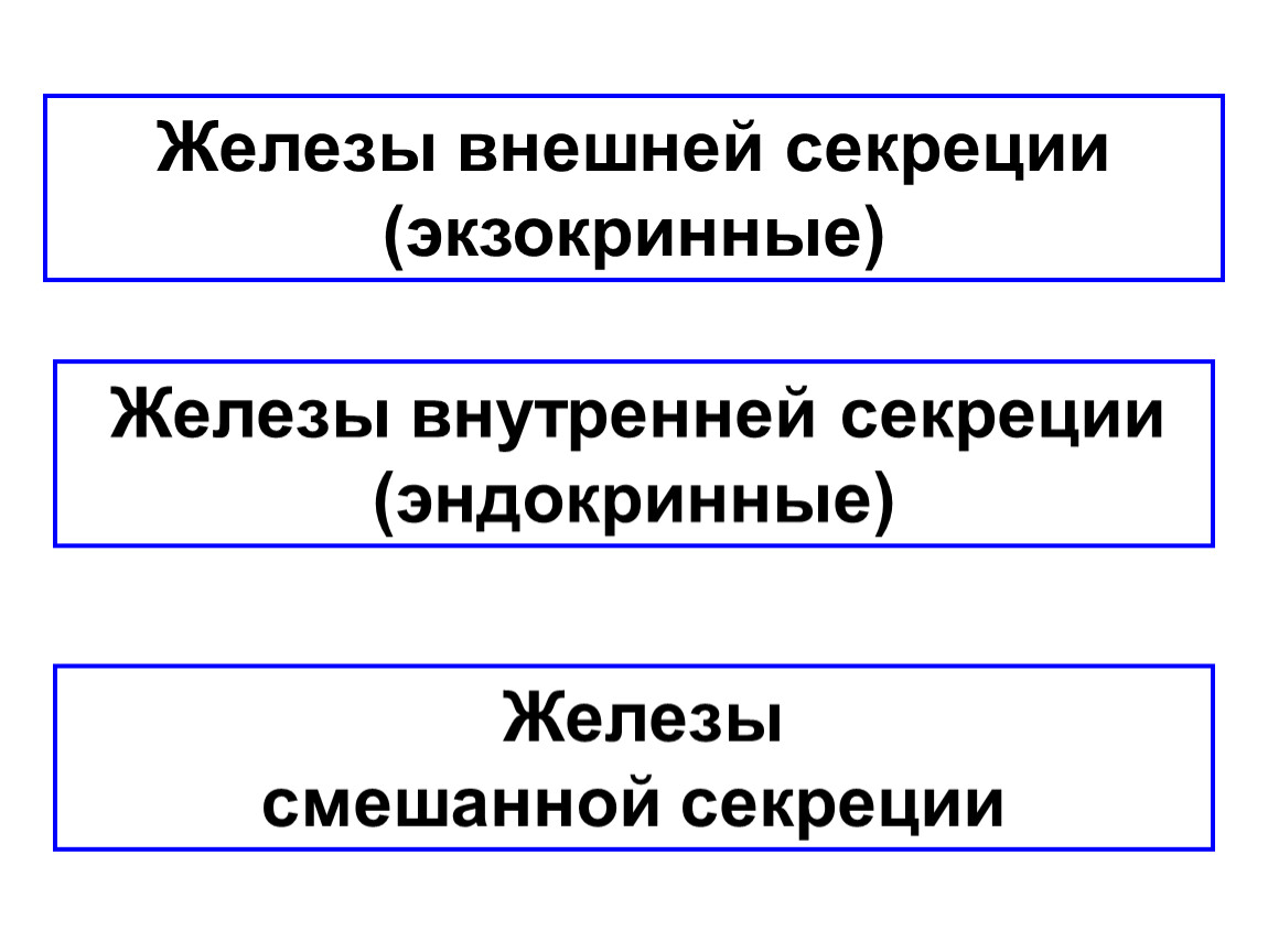 Презентация по биологии 8 класс роль эндокринной регуляции