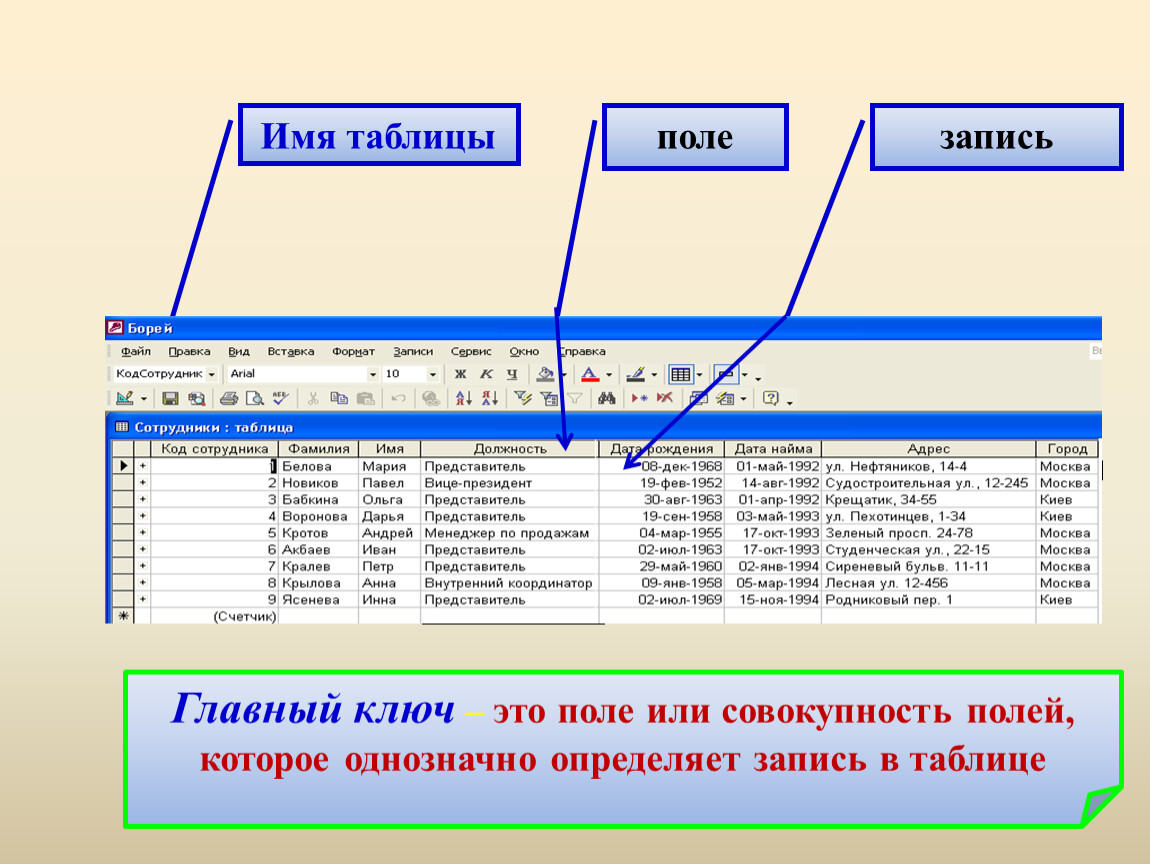 Бд содержит информацию. База данных записи таблицы это. Запись в таблице базы данных это. Поля и записи в базе данных. Поля таблицы.