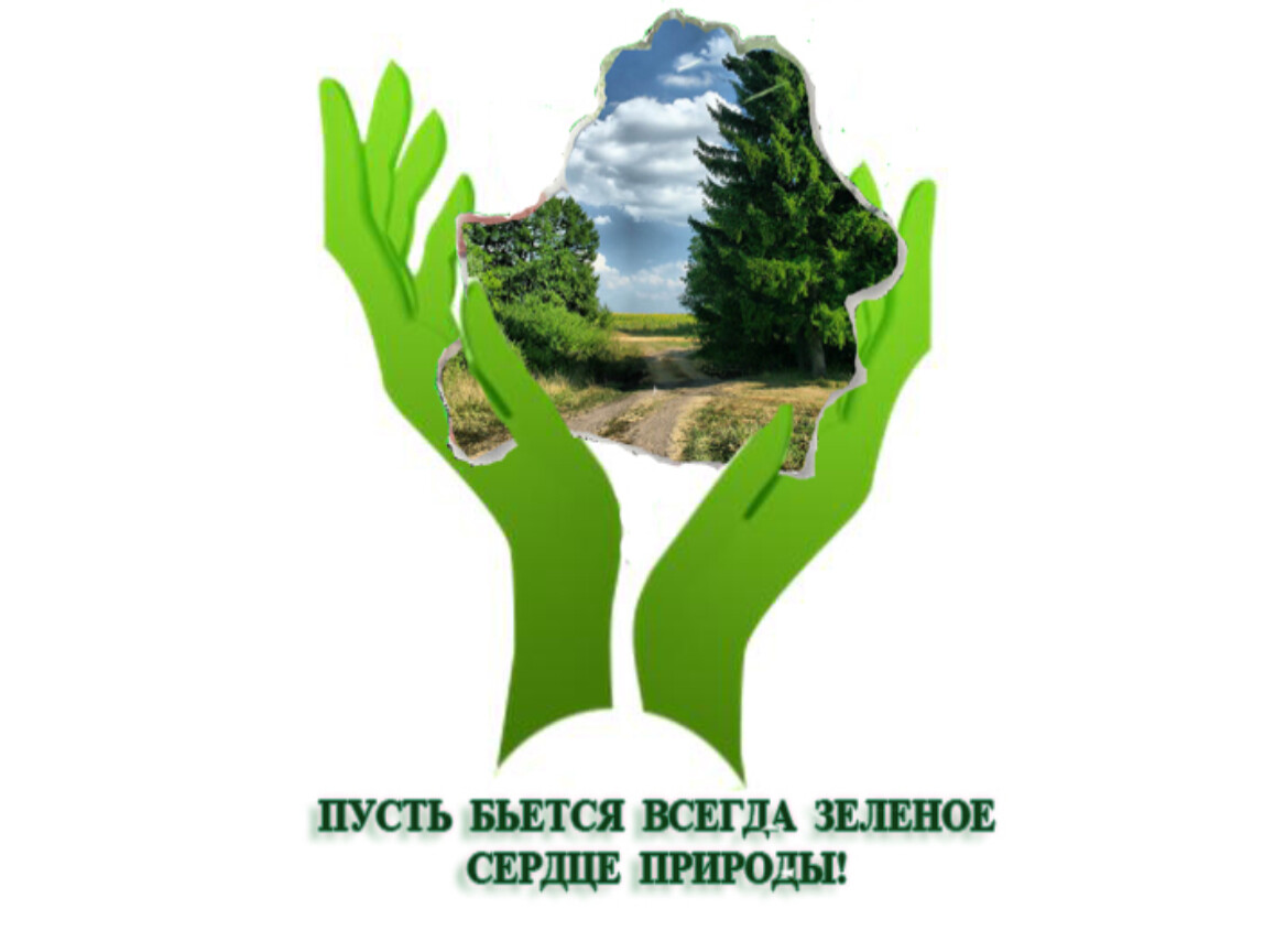 Буклет на тему экология. Защита природы. Экологический плакат. Экологические лозунги. Экология картинки.